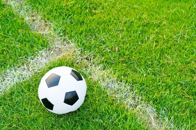 NBA体育 体育盛况